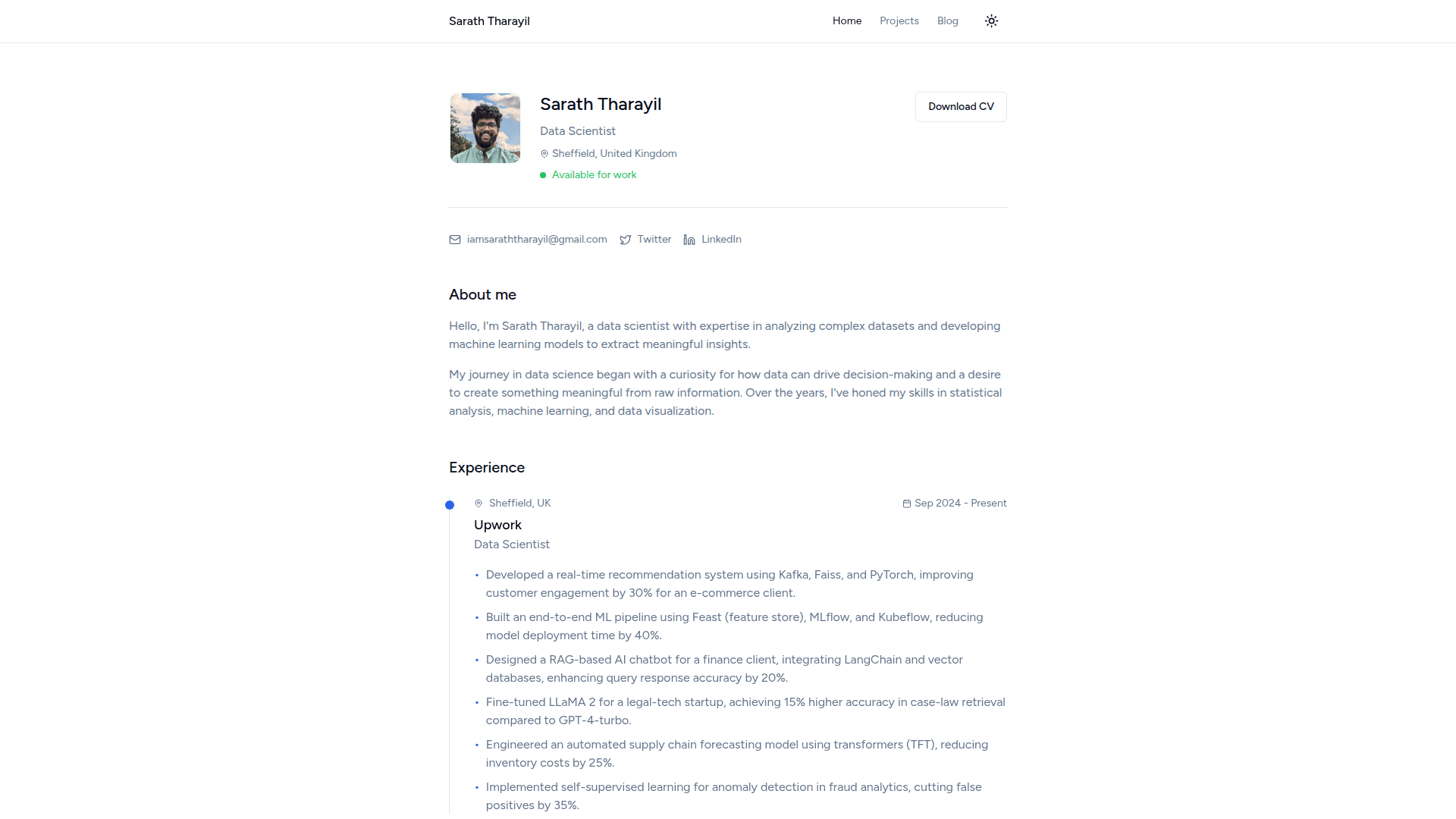 Clean CV-style website with photo and experience section